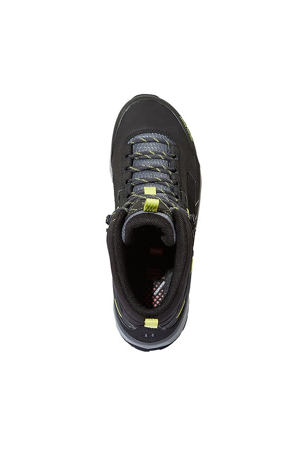 코오롱스포츠-null null-null