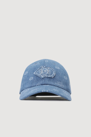 Logo Printing Ball Cap (blue)