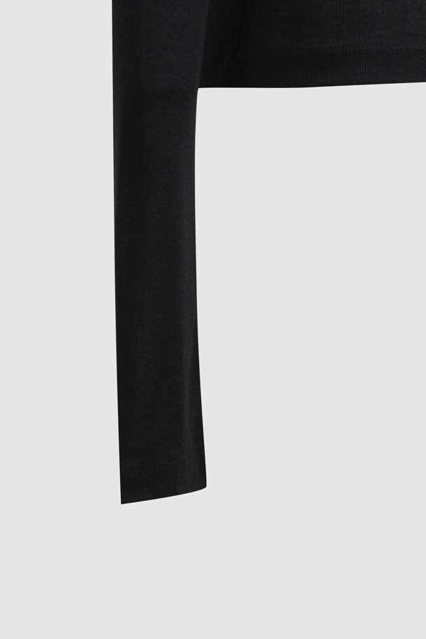 LUCKY CHOUETTE - 긴소매 티셔츠 - Chouetties by LUCKY CHOUETTE_Sheer Slim Fit Long Sleeve T-shirts (black)
