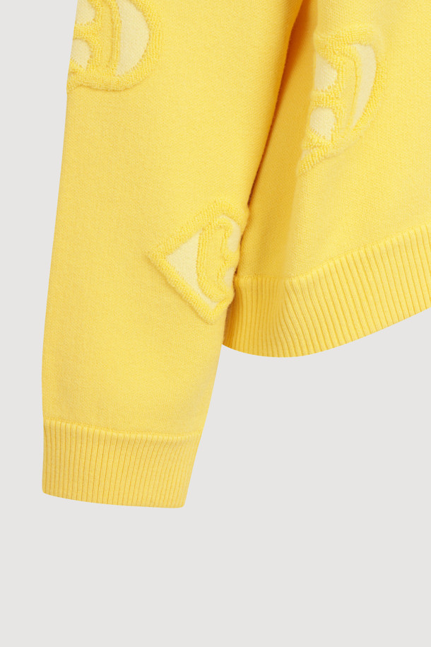 LUCKY CHOUETTE - 스웨터 - Emblem Weaves Knit Pullover (yellow)