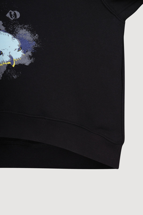 LUCKY CHOUETTE - 스웻셔츠 - Chouette Point Sweat T-shirt (black)