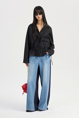 Sheer Shirt Style Blouse (black)