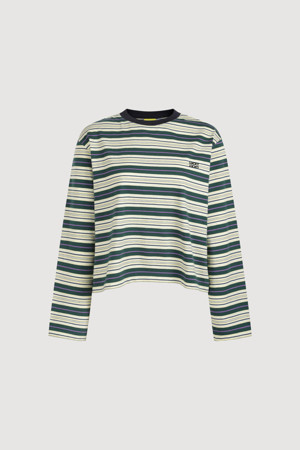 Color Stripe Cropped T-shirt