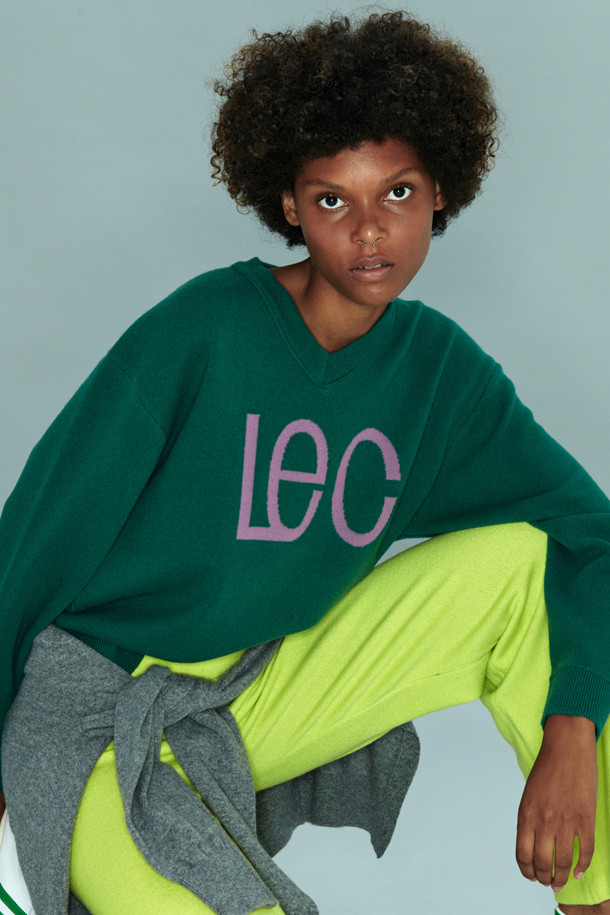 LE CASHMERE - 스웨터 - LE C V-neck Sweater