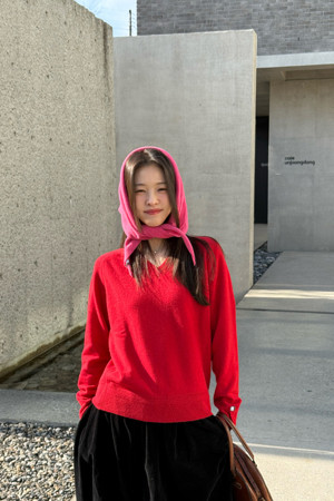 Essential V-neck Sweater (Red)