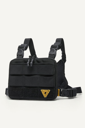 컴팩트 체스트 리그