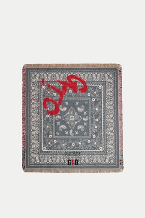 series x GTO 페이즐리 러그