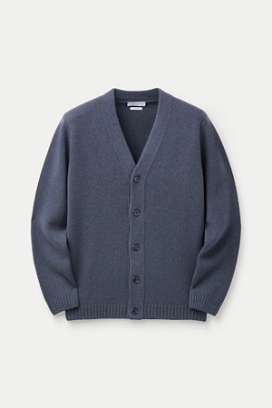 DANIELE FIESOLI EXTRAFINE MERINOS WOOL CARDIGAN					