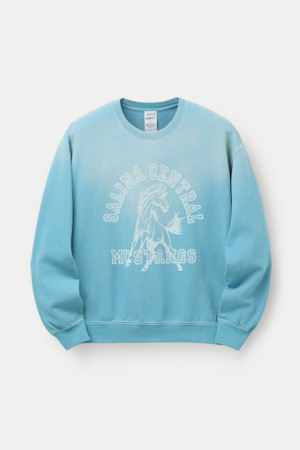 WILD DONKEY 살리나 워시드 크루넥		