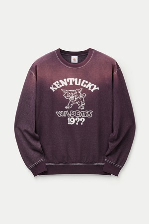 WILD DONKEY KENTUCKY SUN FADED CREWNECK					