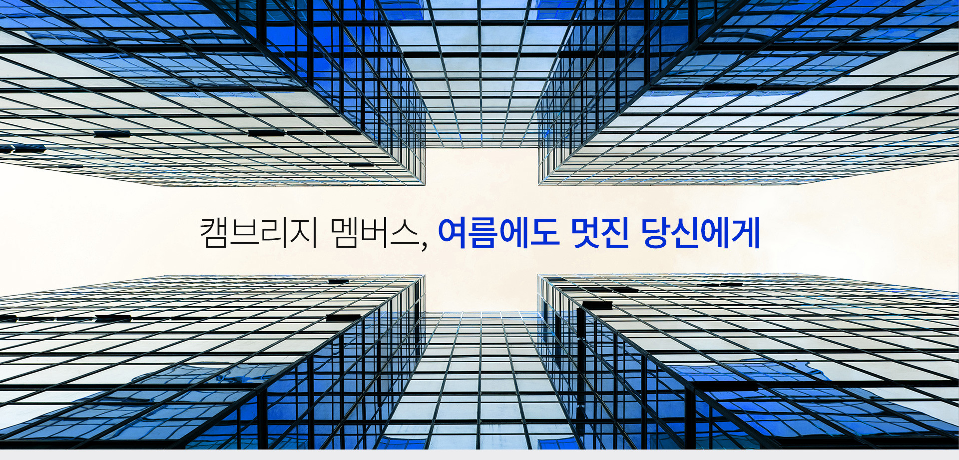                                     제로 컬렉션, 캐주얼과 클래식의 만남! 10% 할인 + 고급 양말 증정                         제로 컬렉션, 캐주얼과 클래식의... 