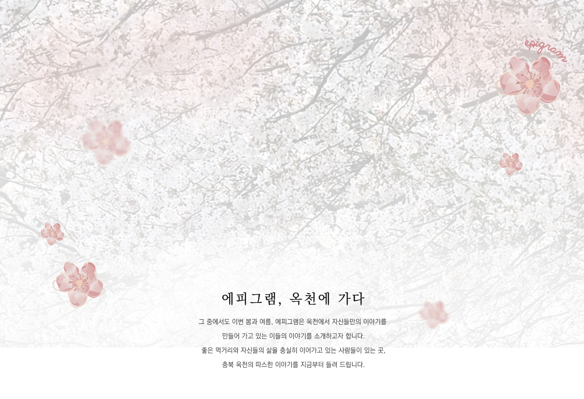 에피그램-옥첫-1 이미지