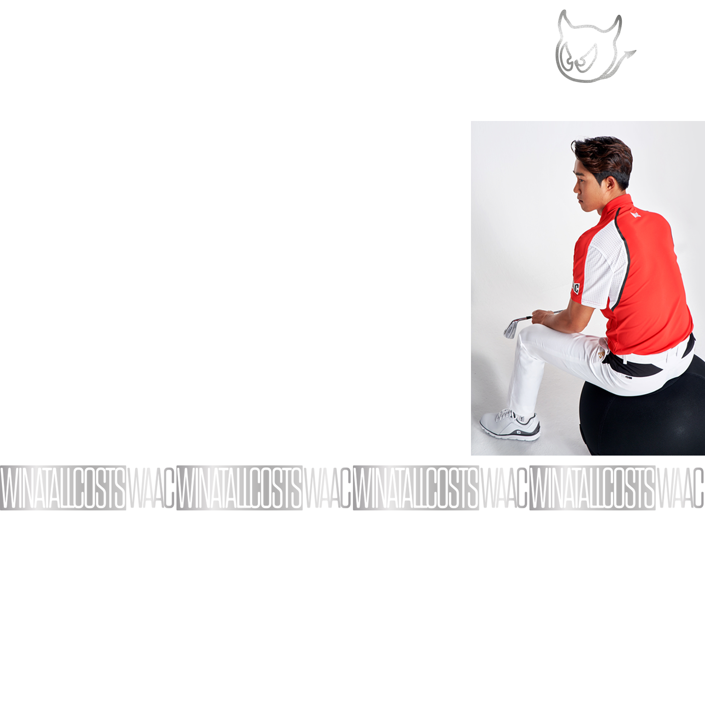 WinFit